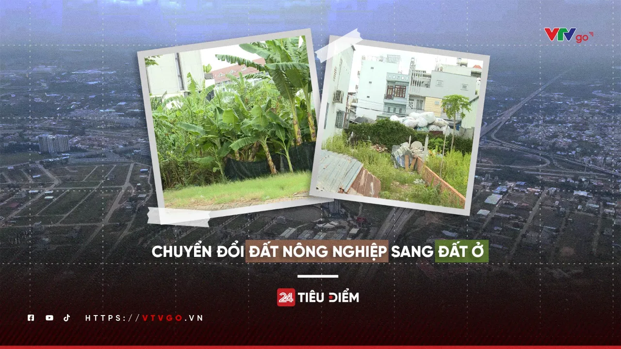 vtvgo.vn